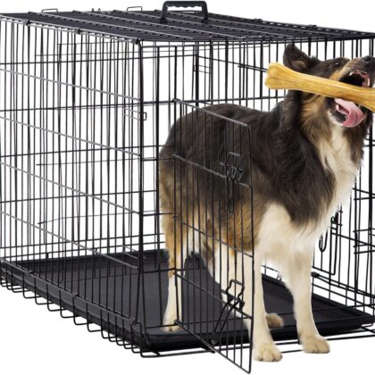 Pet Cage